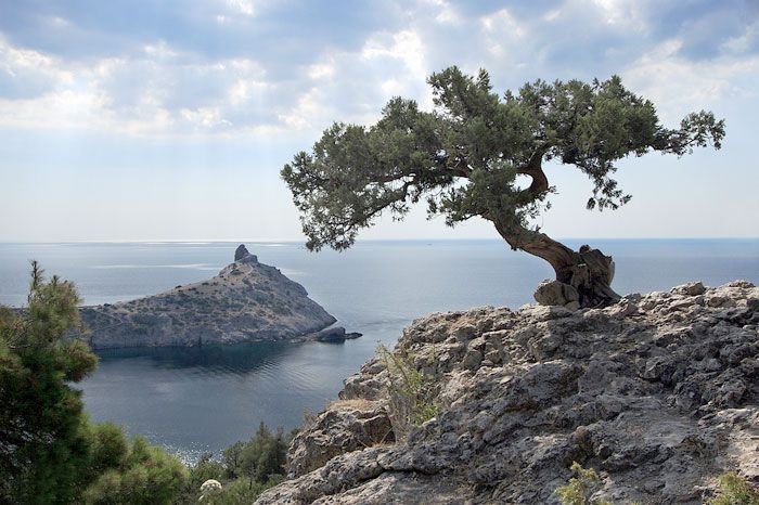 ������� ������, ��� ������ � �������� ������� ��������� ������ �� ���������