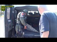 ������� ����������� ��� ���� ������ � ��������