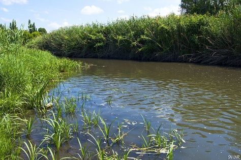 ��������������� ��������� �������� �� ������ ���� ������� � ��� ���