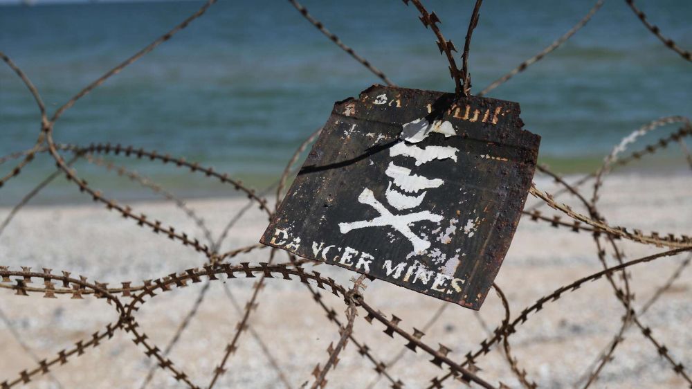 Битва за Змеиный и гибель украинского экс-нардепа: топ новостей недели