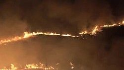 В г. Счастье сгорело 35 гектаров камыша