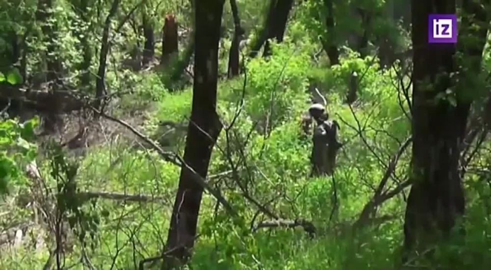 Работа сапёрных подразделений МО РФ в освобождённом г. Счастье (ЛНР)