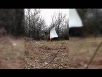 ���������� ��� ��� ��� ������� �������� ������� � �������� ���������� ������������� � �������