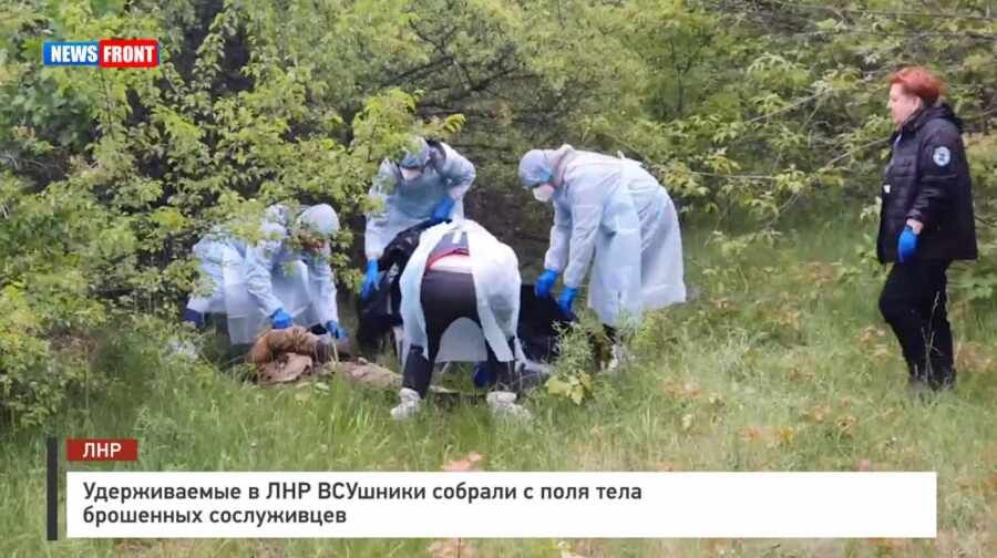 ������������ � ��� �������� ������� � ���� ���� ��������� �����������