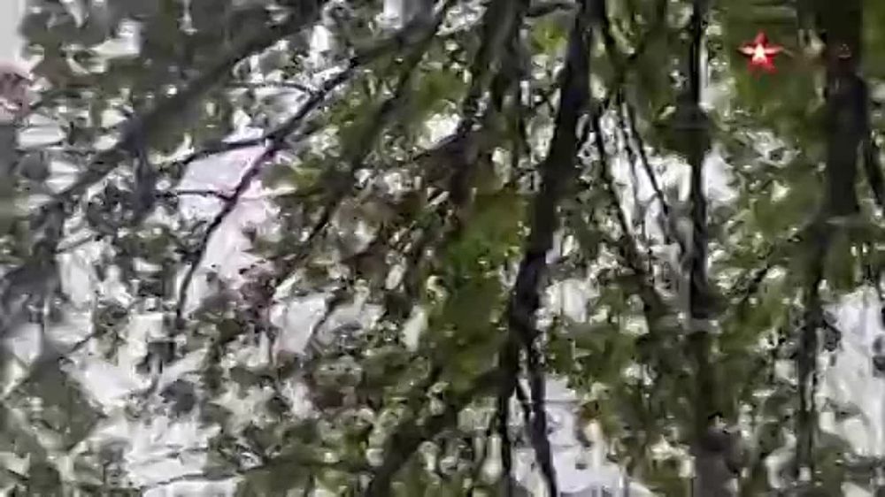 ���������� ���������� � �������� ������������ ����� �������������
