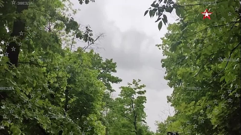 ����� ������ ������ ���� ����� � ���������� � ���, ������� ������������� ���������� ������������ ����������� �� ������������ � ���������