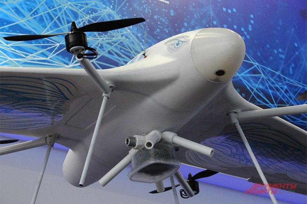 �� �� ������� �������������� ������������ - ����������