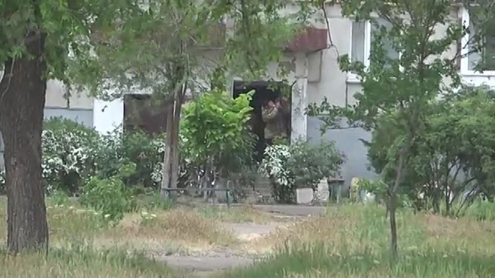 Кадры атаки на беспилотник ВСУ в городе Рубежное в ЛНР показал корреспондент "Известий" Дмитрий Зименкин