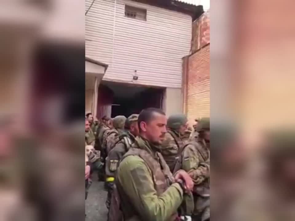 �� ������� ��������� �������� �� 115-� �������, ���������� ��������� � ���������� � ����� ����������� ��������� � �������������
