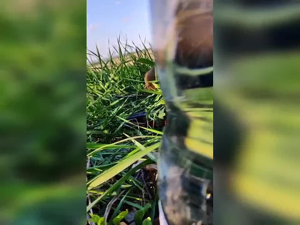 ������������ 4 ������� ��� �������� ������ � �������������� ����������, ��� ����������, �� ������ ���