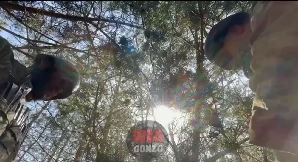 WarGonzo: � �������������� ����� �������� �� � ��� ����� ���������� �����������