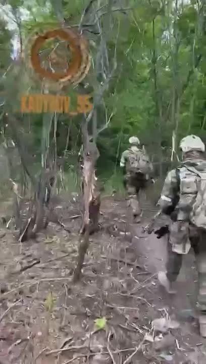 ������ ������� ������� ����� � ��������� ��������� �������, ������� ���������� �������� ���������� �� ������������ ����������� � ���