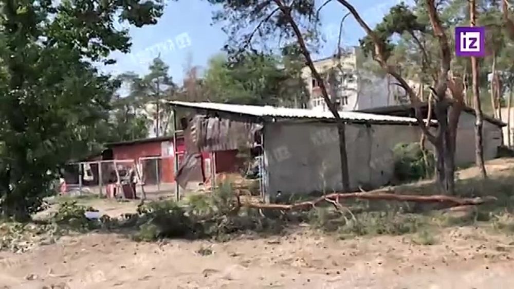 ������� "��������" ������� ������ ����� �� ������������� ������� �������������