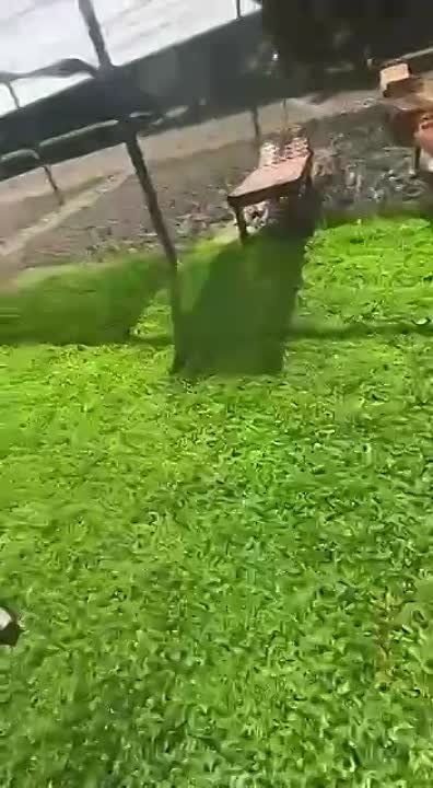 ���� �������� �������� �� ����� � �������� (���) ����� �������� ������ � ���������� ����������