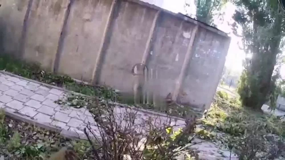 ��������� ��� � ������������� �� ������� ����