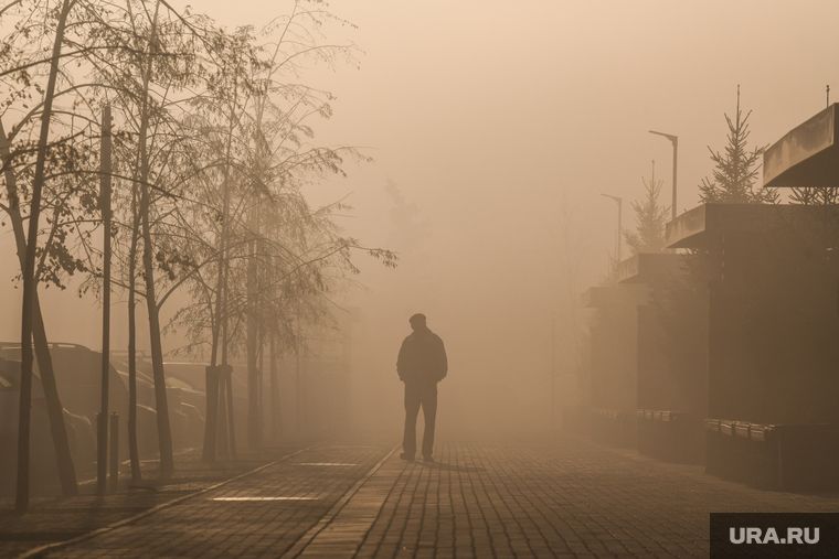 ������� �������� ��������: ��� ���������� ��������� ��� ���������