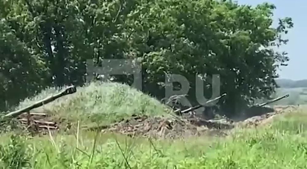 ��� �� ������ ������ - ���������