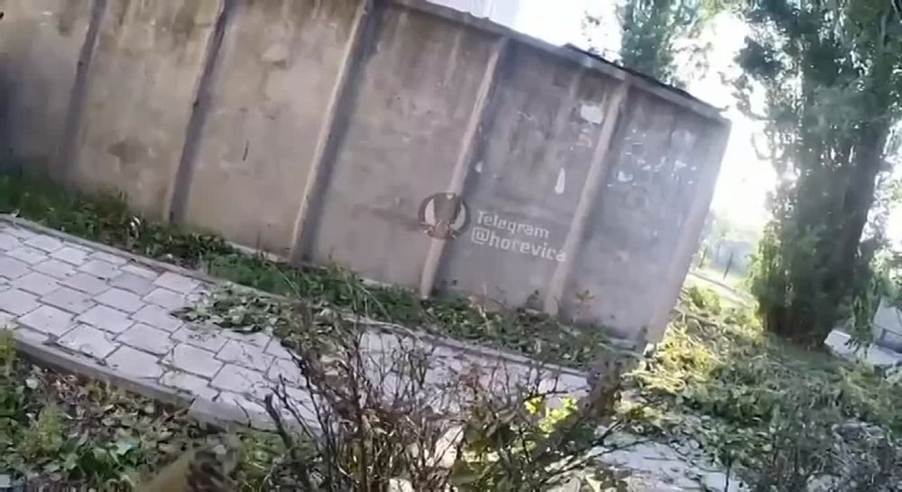 ��������� ��� �� ���� ����������� ��������