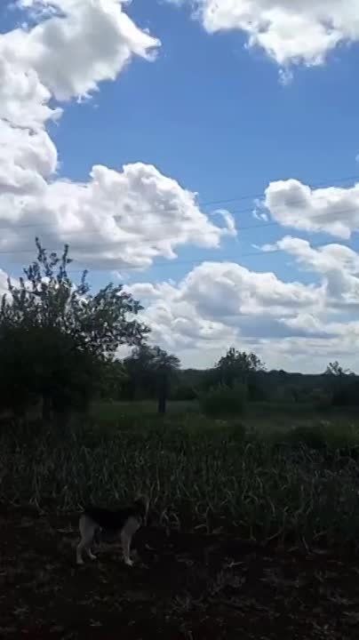 ���������� ���������� ��-25�� � ���� ��� ��������