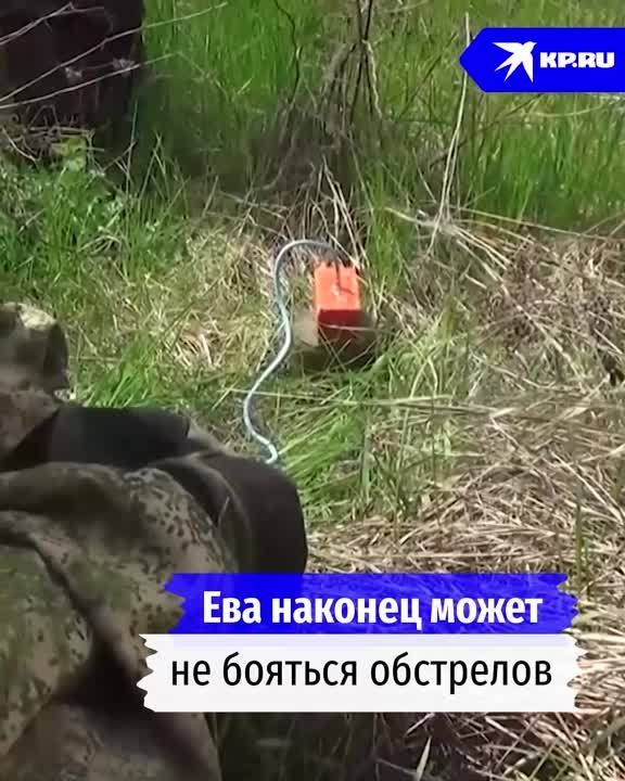 � ���� ���� ���� ��� �����, ��� ����� �����