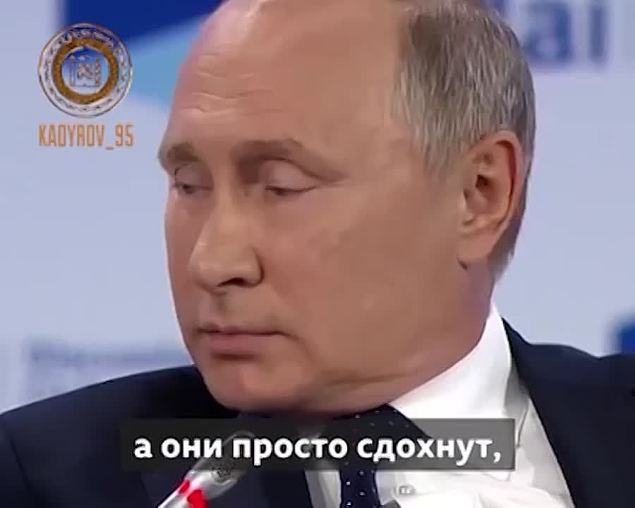 ������� ��������� ����� ����������� ����� 115-� ������� ������� ������������ ����� �� ��� � ����������