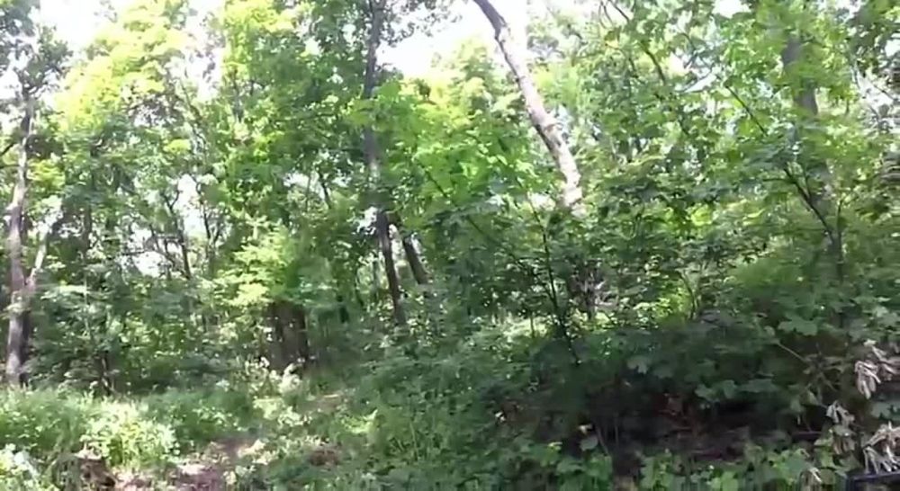��������������� ����� ������� � ����������� ��������� � ���������� �� ������� �������������, ������ �� ������� ����