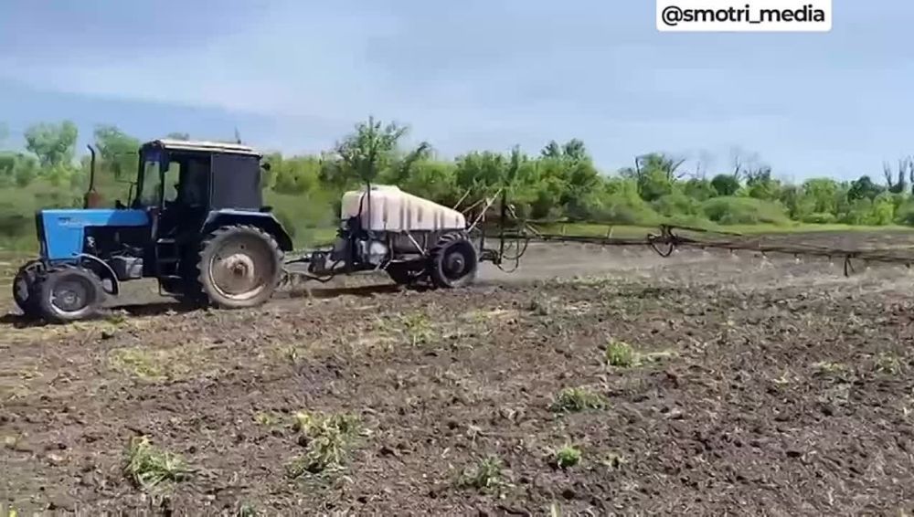 �������������� ������������� � �������� ��������������������� ���������� � ���