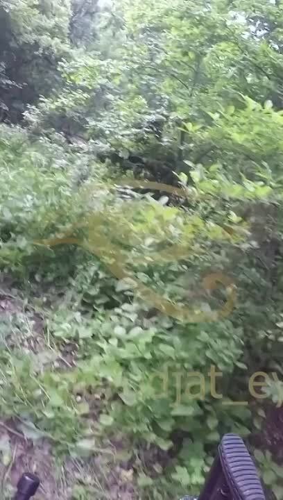 ��� ����� �������� �������� � ������ �������������