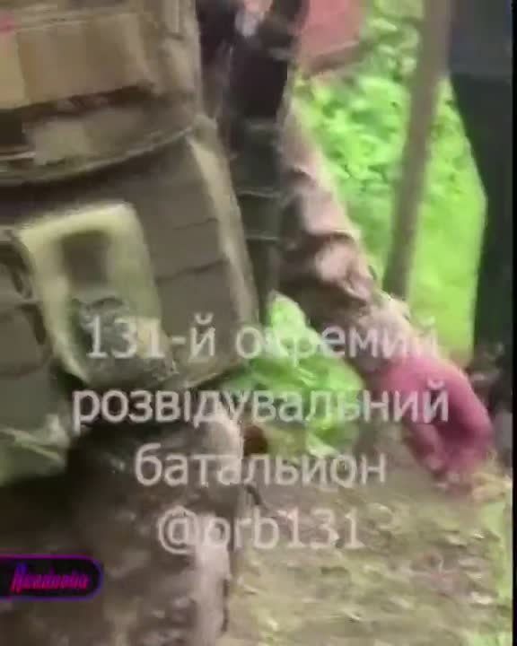 ��� ���� ������ ������ � ������������ �� �������� ��� ������ ���������������, ������� ����� ������ ��� ������
