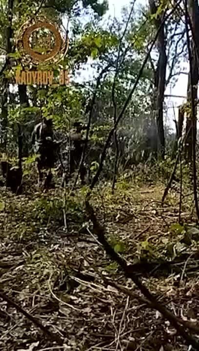 �������: ��������� ������������� ��������� � ������� ��������� �������������� ������ � ��� ����� ������������� ����������� �� ������� ���������� �������������