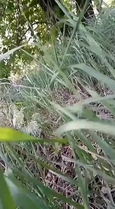 ����� ������������ �� ����������� ������������ "������� ������" ������ � ��������� �������� ����������