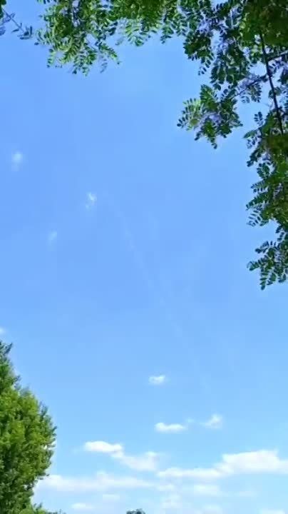 ������������� ��������� ������������� ������� ���� � ���� ��� ��������� � ���