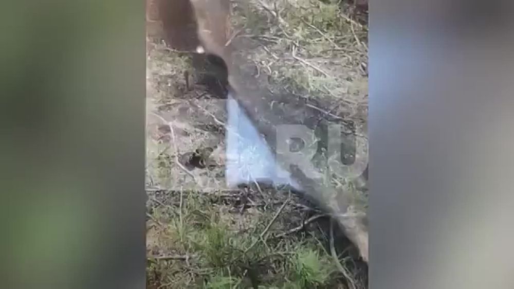 �� ���� ������ � ������ ������� ��� � ������ ������� ��������� ��� ��������������