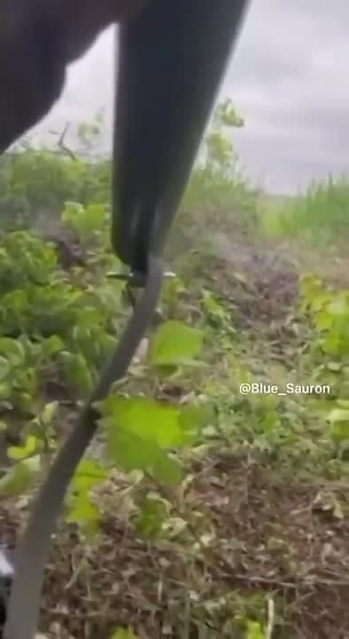 ����� �� ������� ������������ ���������, ������� ����� ������ ������� � ��������