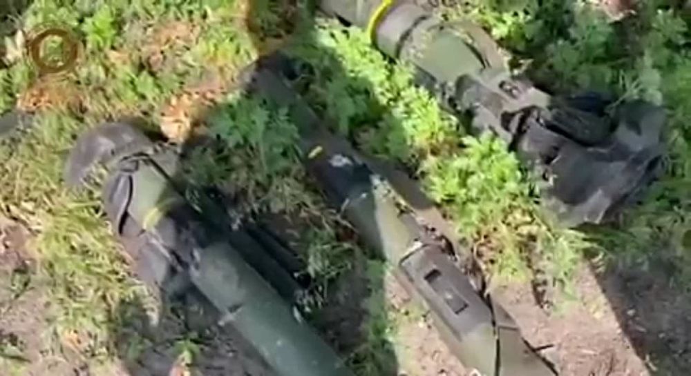 ����� ��������� ���������� ������ ������� �������, ��� ��� ���������� ���������� � ��� ��������� ��������