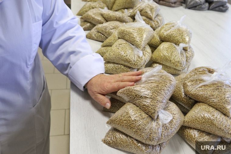 ��� ������ �������� ������� ����� � ������