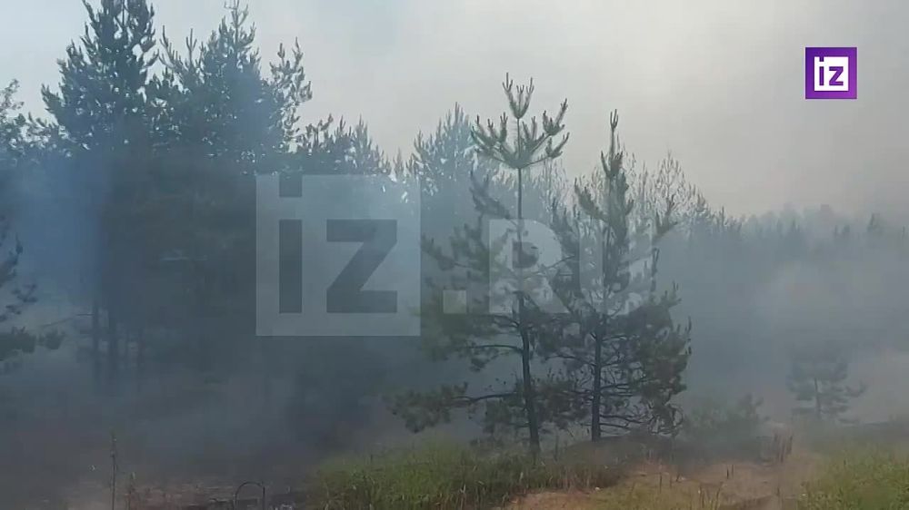 � ������������ "��������" ��������� ����� ����� �� ���� ����� �������� � ��������������, ������� ��������� ����� �������������� �������� ���