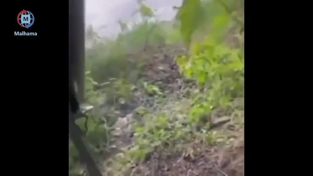 ���������� �������� ��������� � ���� ��� ��������������