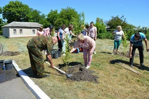 ���������� ������� � �������� ������������� �� ��� ������ �������� � ������������ 40 �����