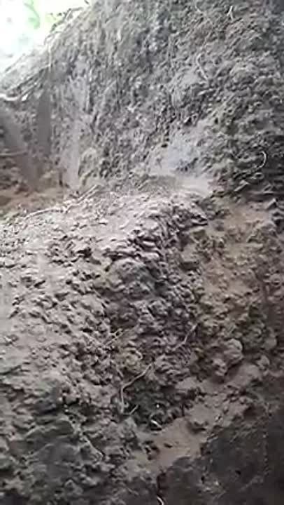 ��� ���� ���������� ������ ��� ��������������