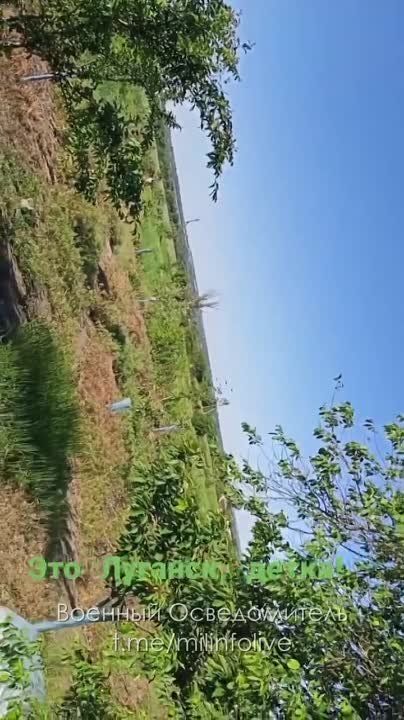 ���� ������ � ���