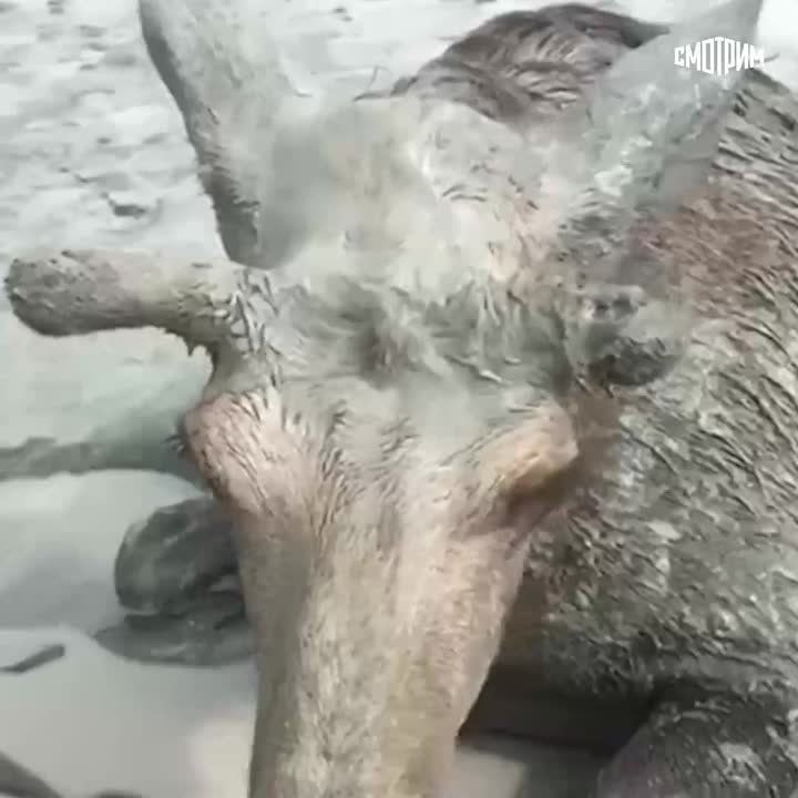 � ������������ ������� ������������ ��������� ������������ �������� �� �������� ����, �������� � ������