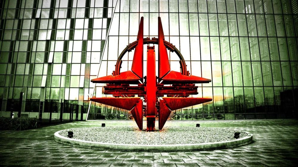 ������� ������� � ����������� ���: 11 ����