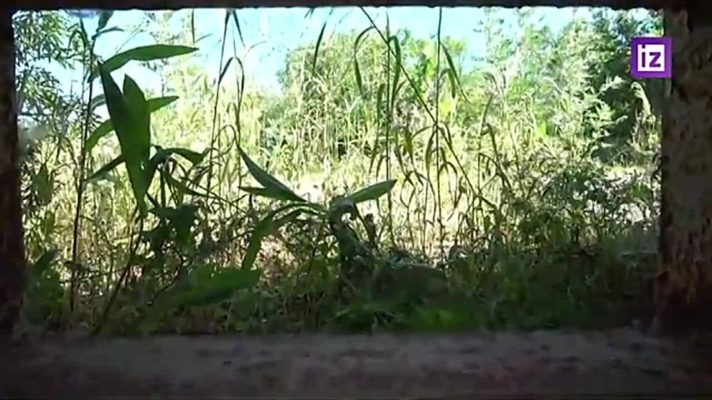 Один из ДОТов укрепрайона ВСУ у города Счастье ЛНР