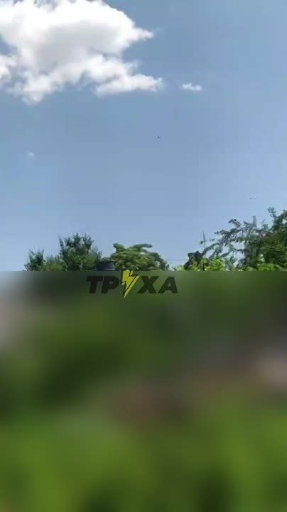 ���������� �������� ���� �� ������� ��� � �������� ������������ �������