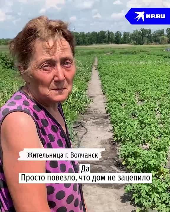��� �� �� �����, ������� ��������