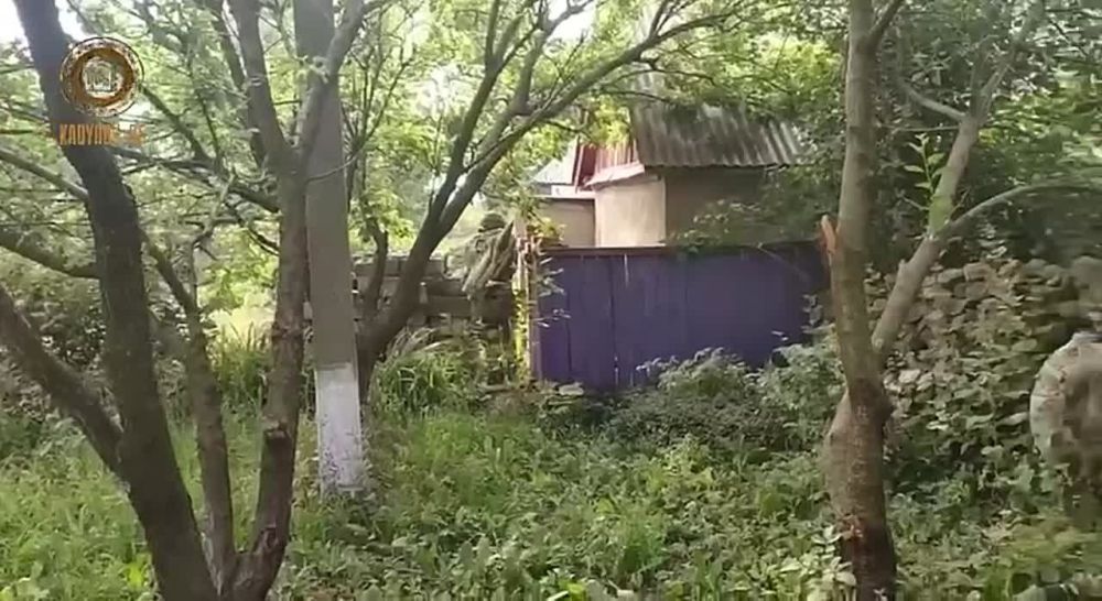 Кадыров: Бойцы чеченских спецподразделений под командованием моего дорогого БРАТА, Героя России Замида Чалаева продолжают гнать националистические и бандеровские группировки через леса и поля Луганской Народной Республики