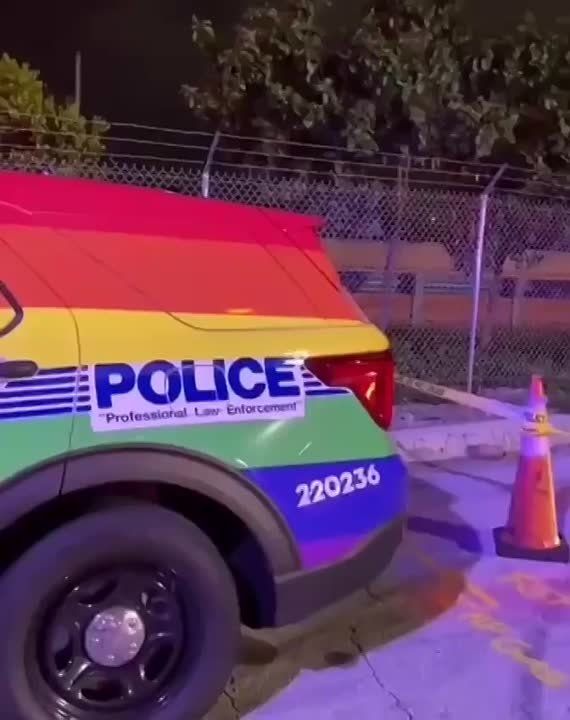 �����-����� ���� ������ �����: