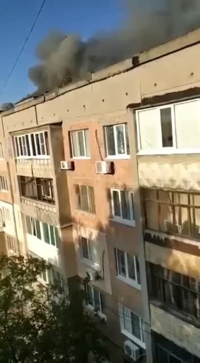 �����, ����������������, ����������� �������� �������� ���� (���) �� ������� ��� ��������� � ��������