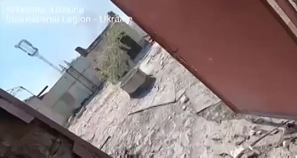 ����������� �������� � �������������